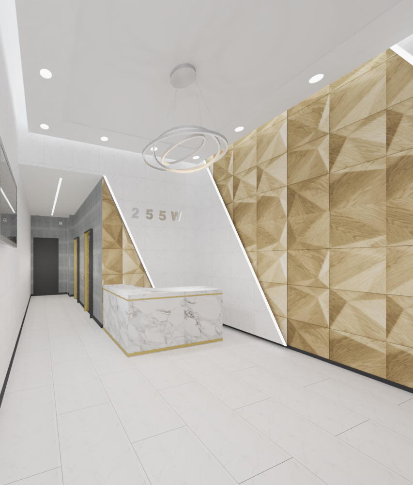 255 WEST 36TH STREET
                